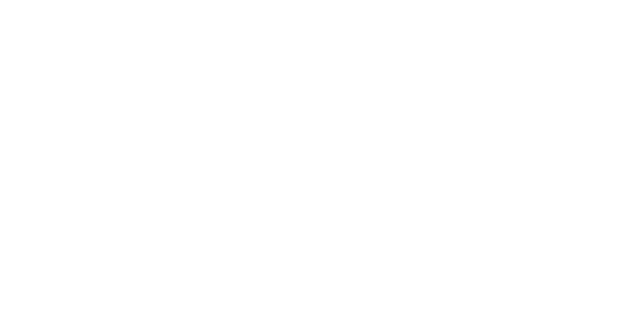 stanzza logo